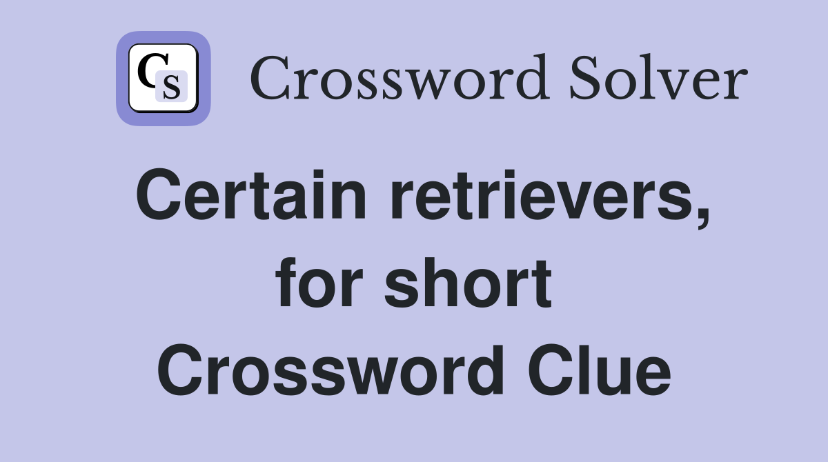 Certain retrievers, for short Crossword Clue