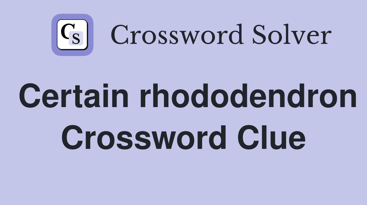Certain rhododendron Crossword Clue