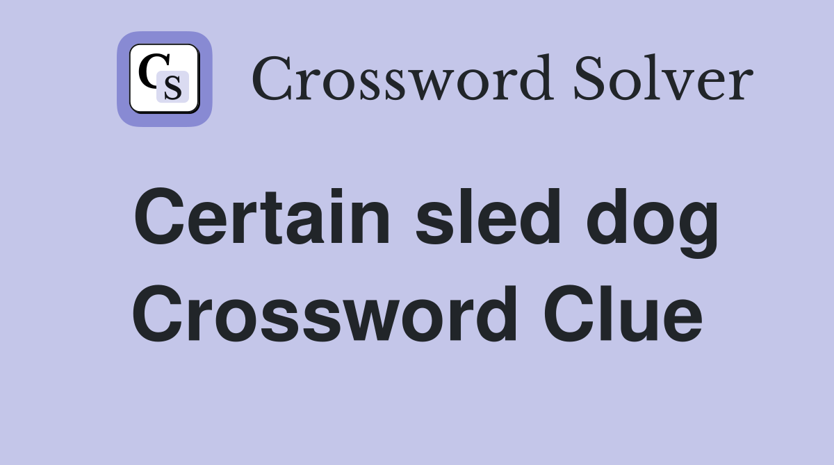 Certain sled dog Crossword Clue