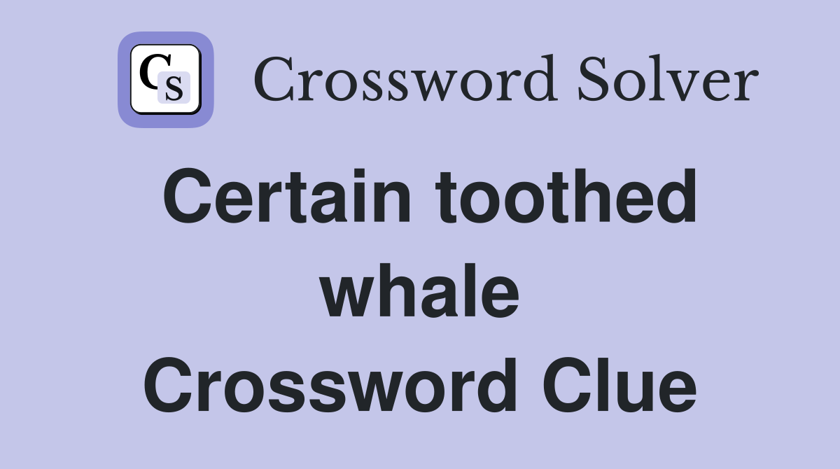 Certain toothed whale Crossword Clue