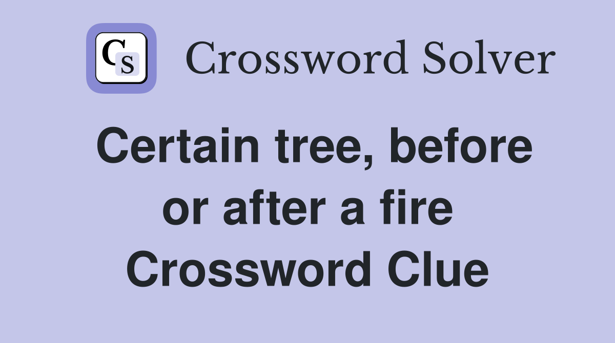 Certain tree, before or after a fire Crossword Clue