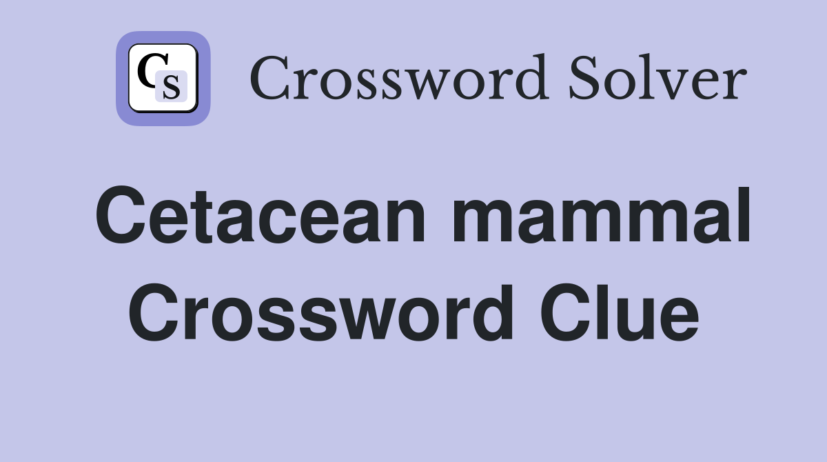 Cetacean mammal Crossword Clue