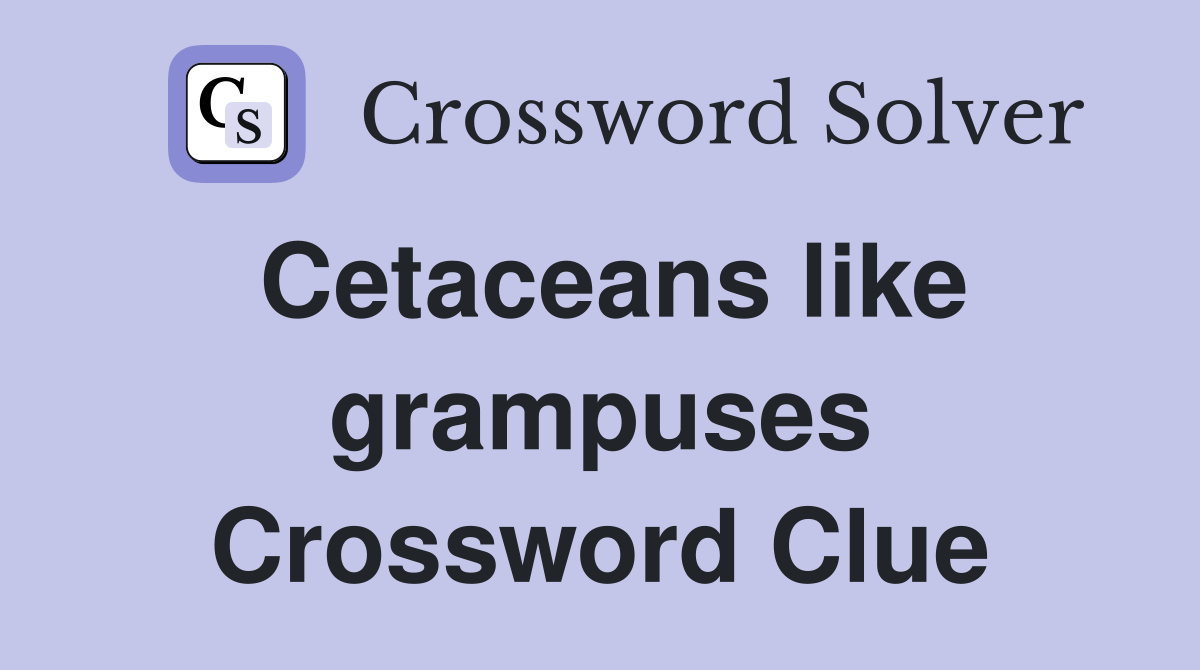 Cetaceans like grampuses Crossword Clue