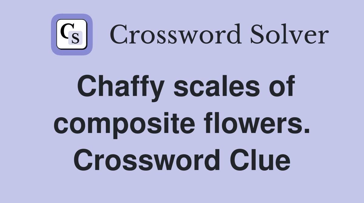 Chaffy scales of composite flowers. Crossword Clue