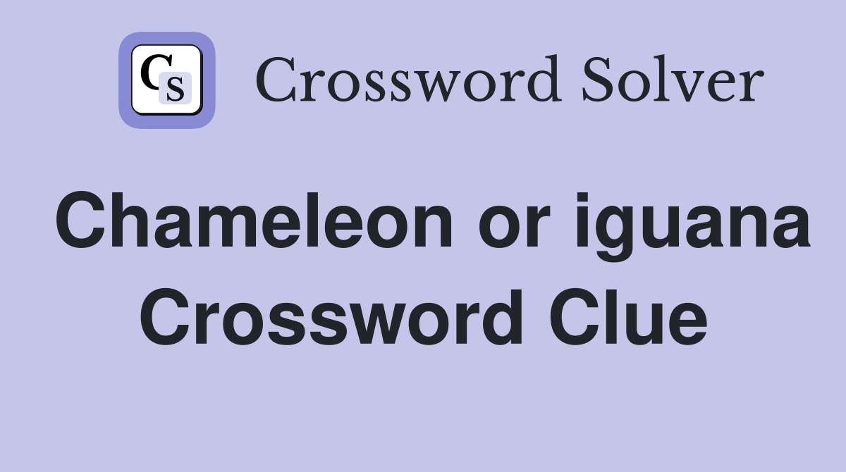 Chameleon or iguana Crossword Clue
