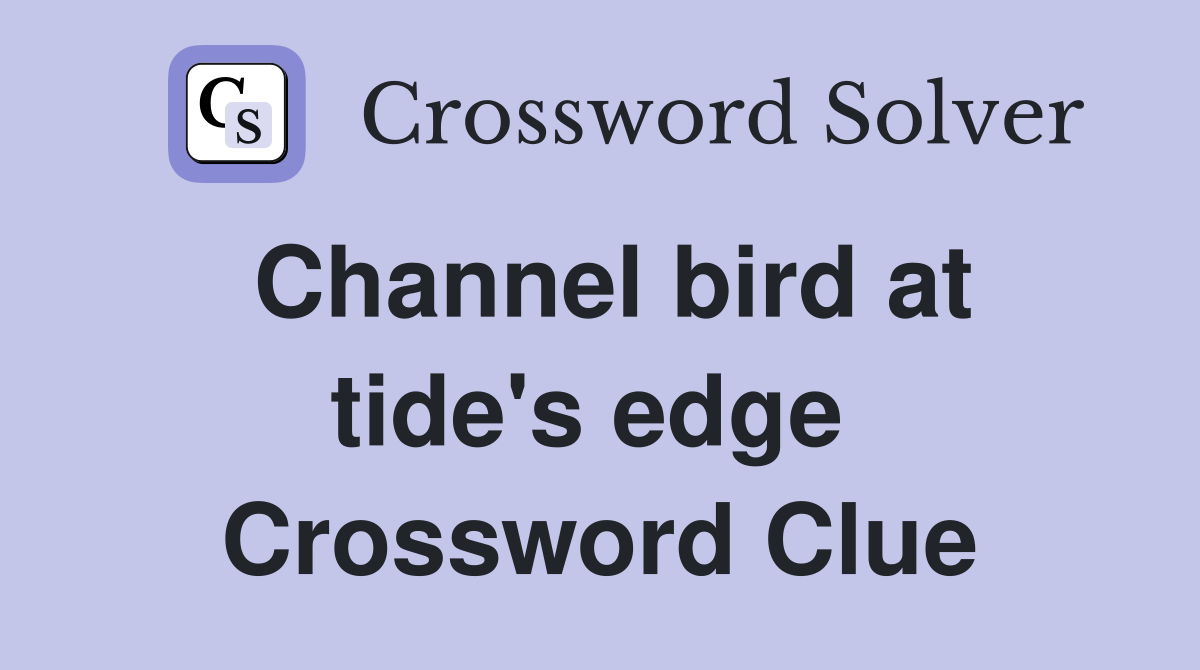 Channel bird at tide's edge  Crossword Clue