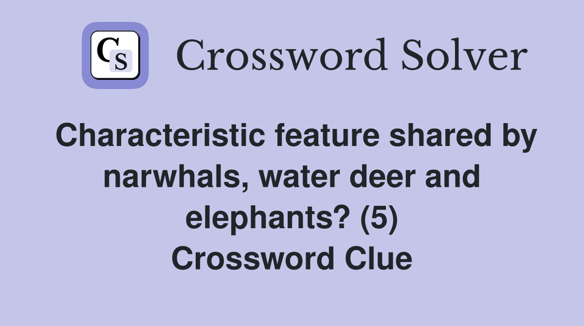 Characteristic feature shared by narwhals, water deer and elephants? (5) Crossword Clue