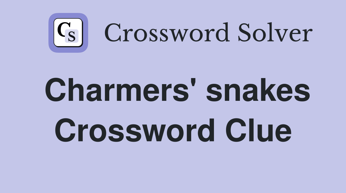 Charmers' snakes Crossword Clue