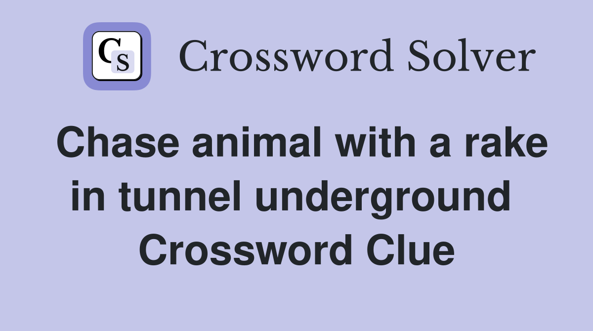 Chase animal with a rake in tunnel underground  Crossword Clue