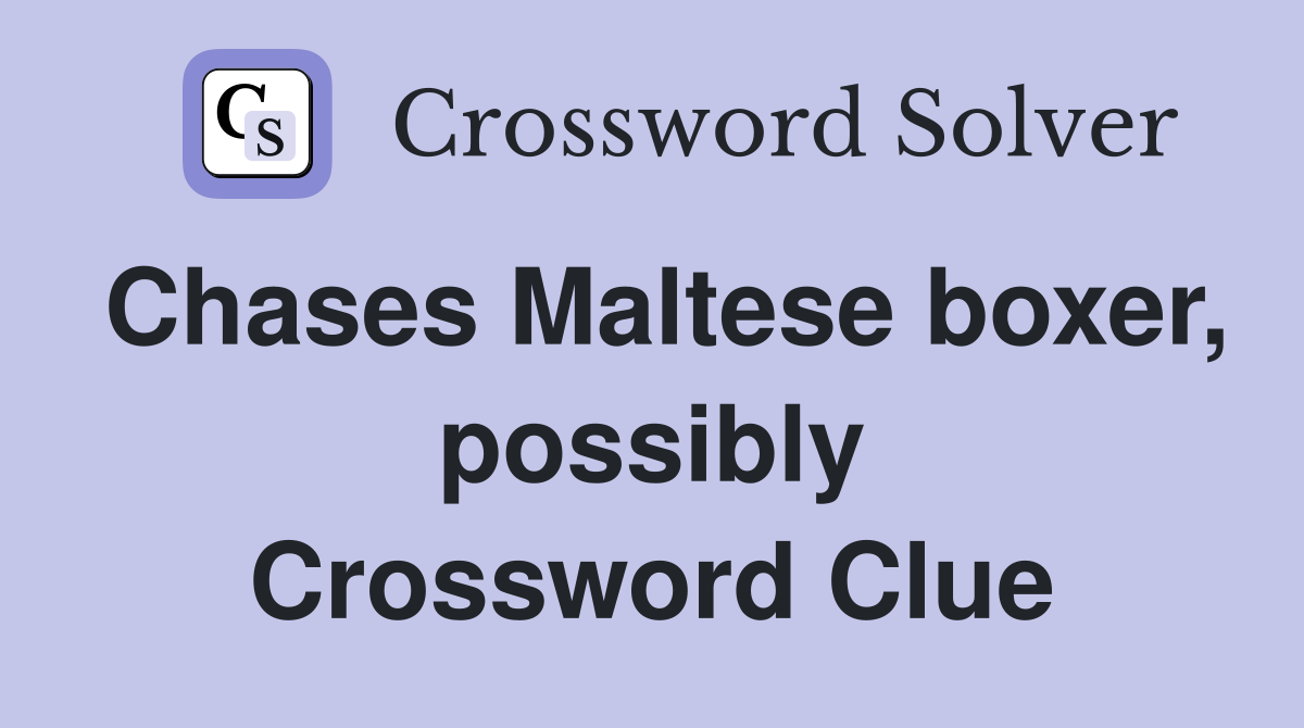 Chases Maltese boxer, possibly Crossword Clue