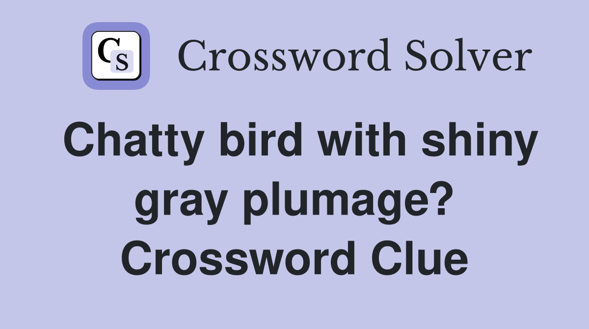 Chatty bird with shiny gray plumage? Crossword Clue
