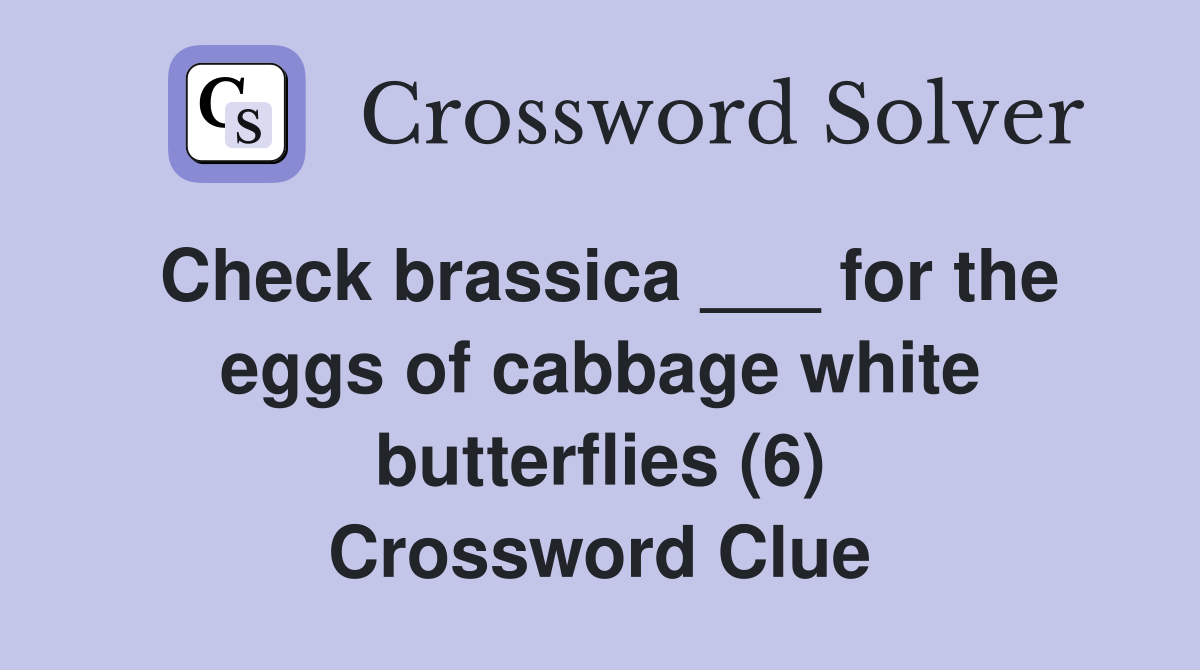 Check brassica ___ for the eggs of cabbage white butterflies (6) Crossword Clue