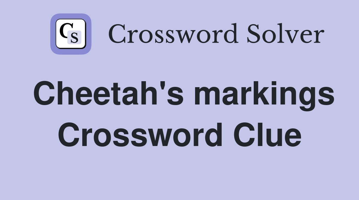 Cheetah's markings Crossword Clue