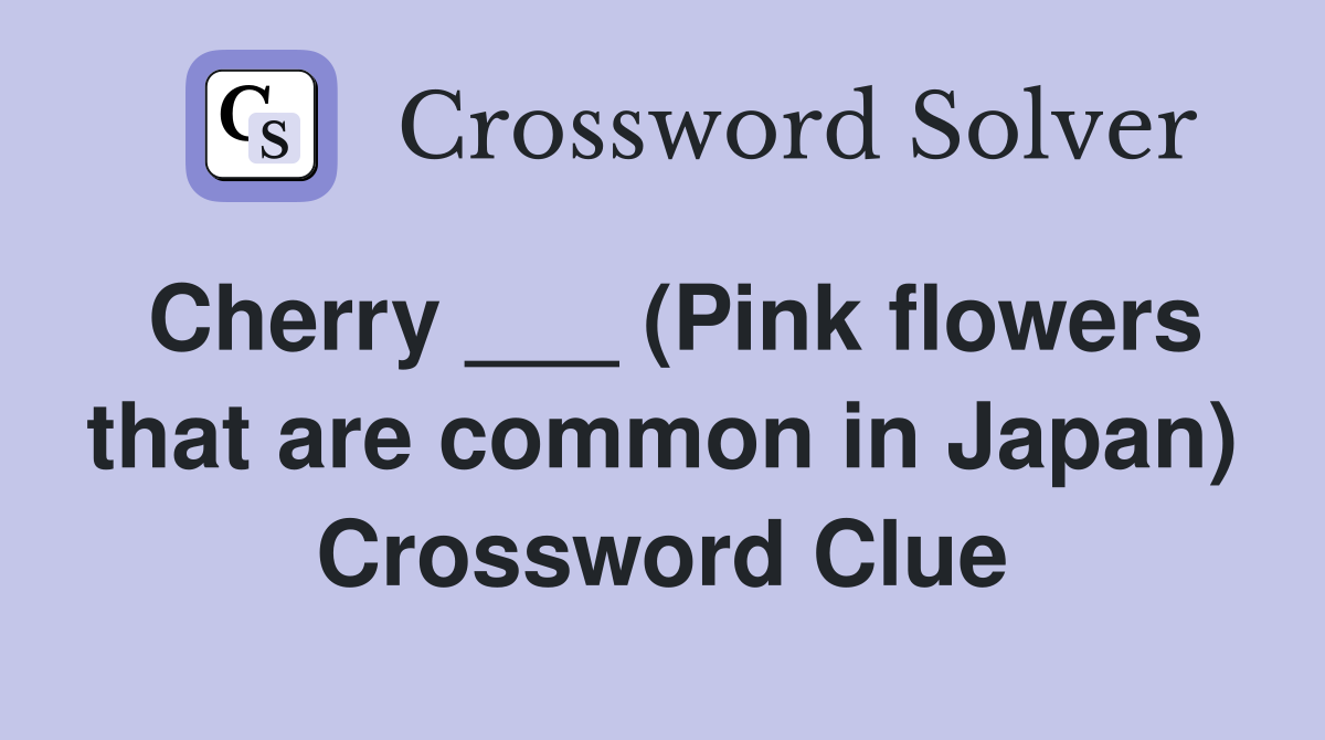 Cherry ___ (Pink flowers that are common in Japan) Crossword Clue