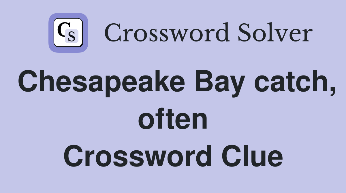 Chesapeake Bay catch, often Crossword Clue