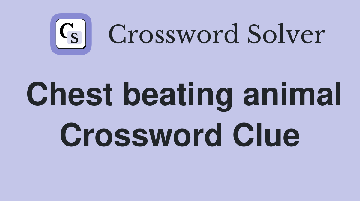 Chest beating animal Crossword Clue