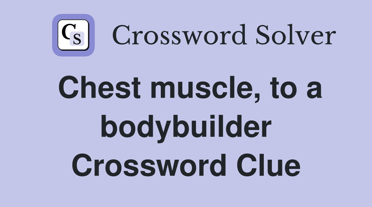 Chest muscle, to a bodybuilder Crossword Clue