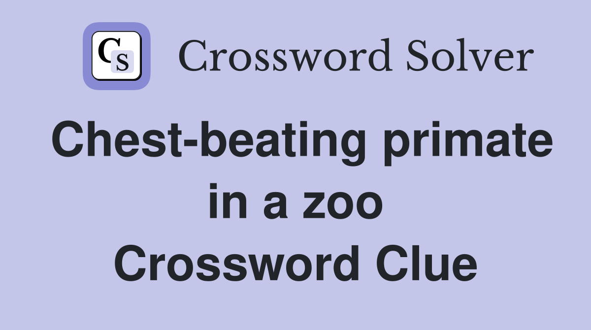Chest-beating primate in a zoo Crossword Clue