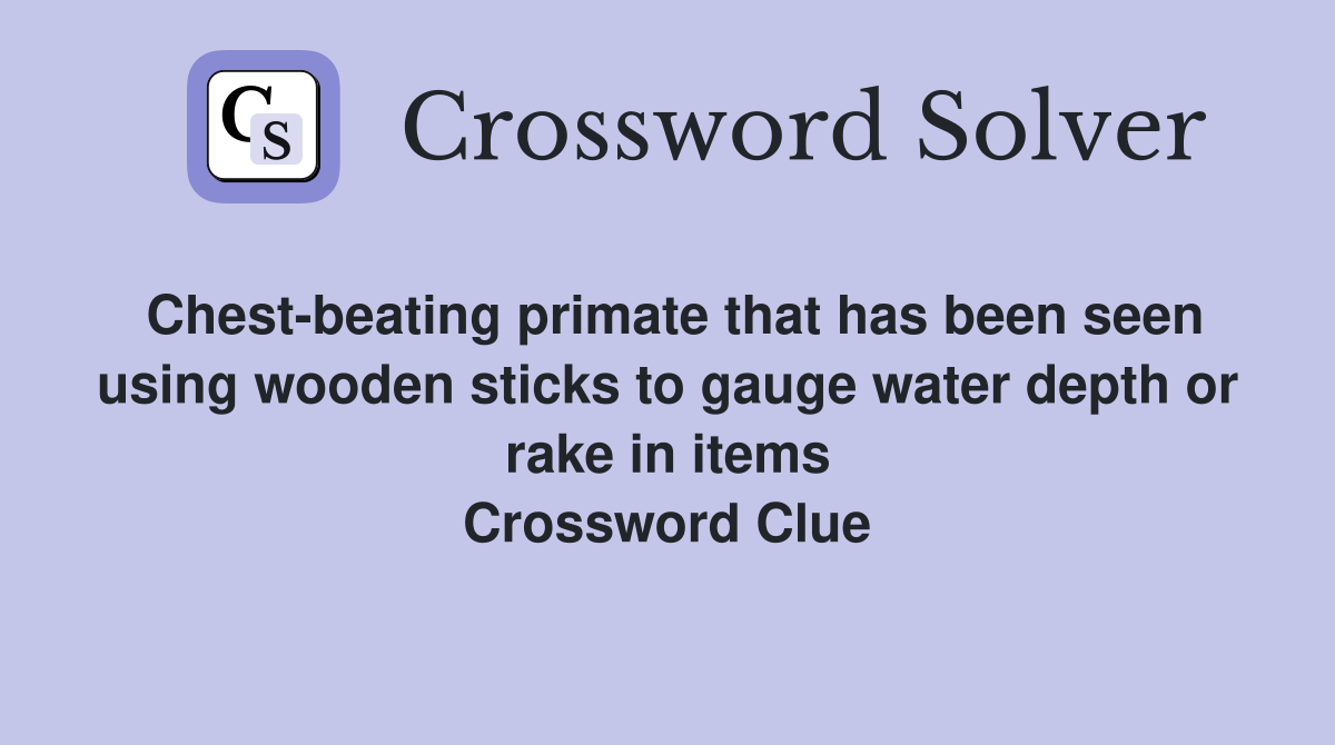 Chest-beating primate that has been seen using wooden sticks to gauge water depth or rake in items Crossword Clue