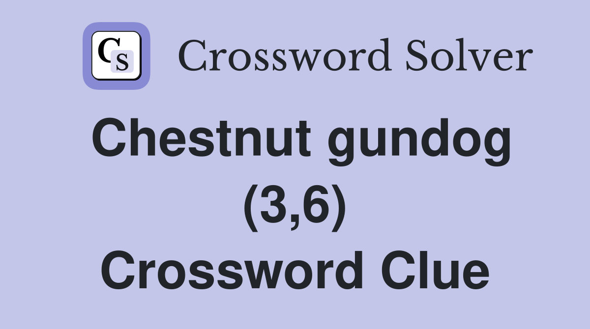 Chestnut gundog (3,6) Crossword Clue