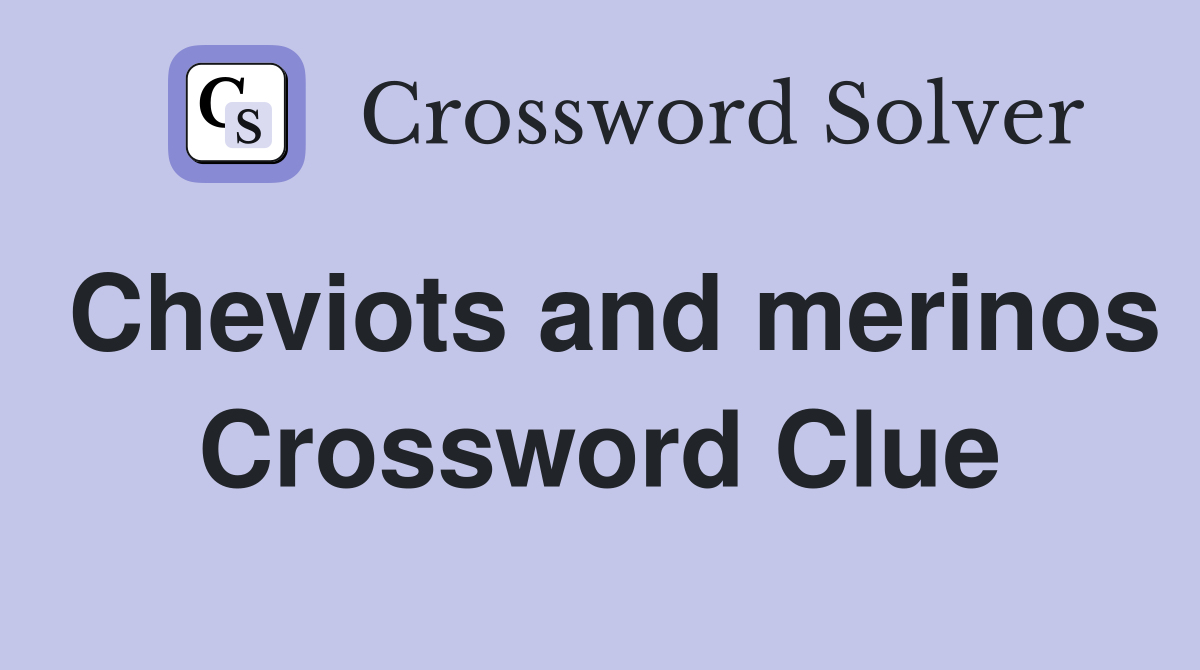 Cheviots and merinos Crossword Clue