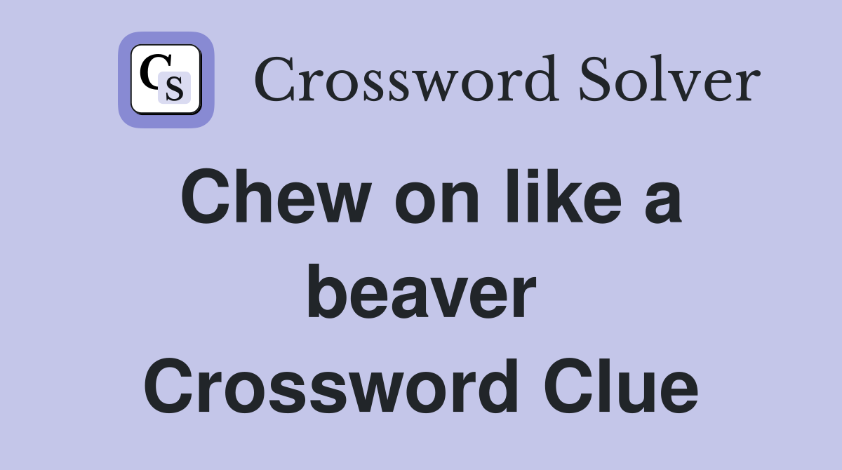 Chew on like a beaver Crossword Clue