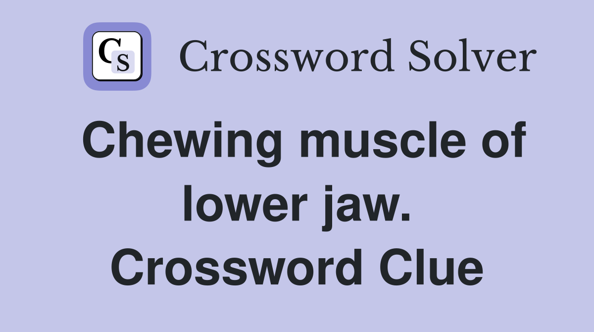 Chewing muscle of lower jaw. Crossword Clue