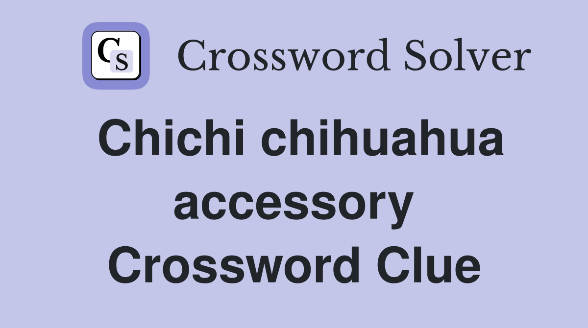 Chichi chihuahua accessory Crossword Clue