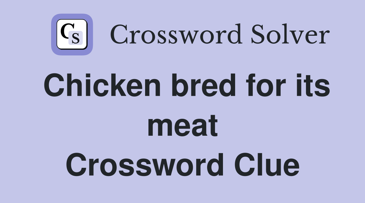Chicken bred for its meat Crossword Clue