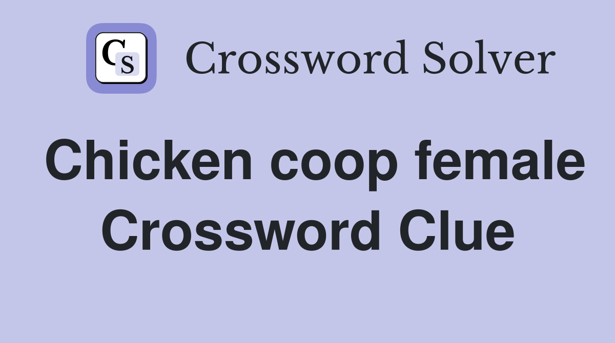 Chicken coop female Crossword Clue