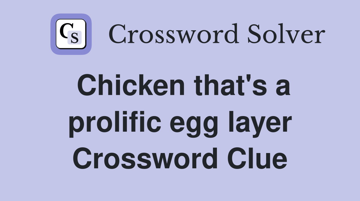Chicken that's a prolific egg layer Crossword Clue
