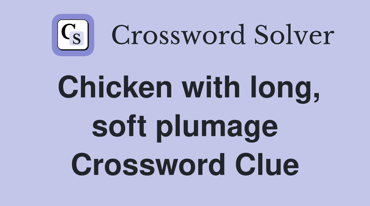 Chicken with long, soft plumage Crossword Clue