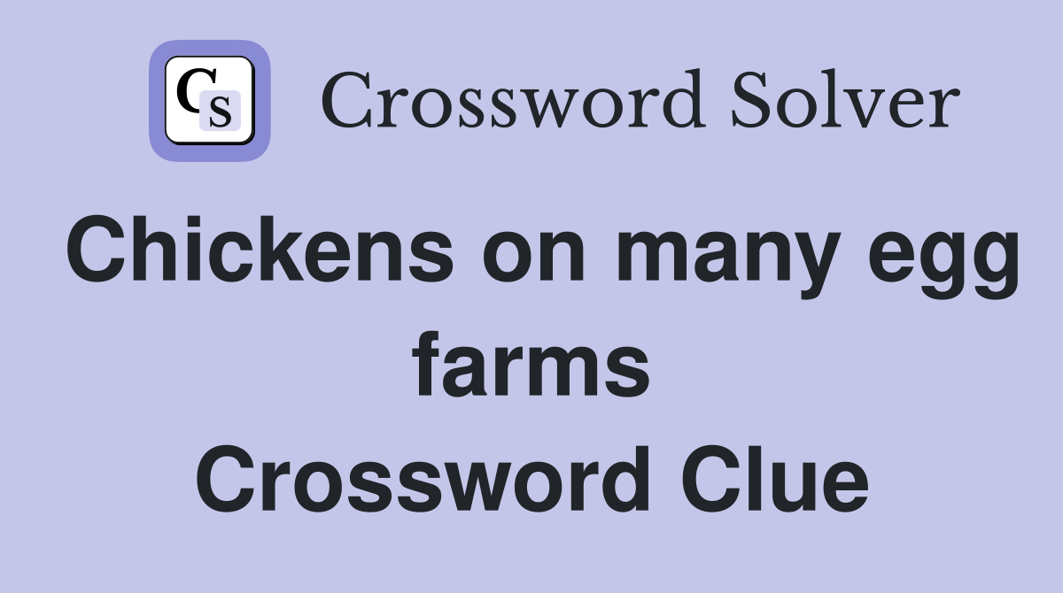 Chickens on many egg farms Crossword Clue