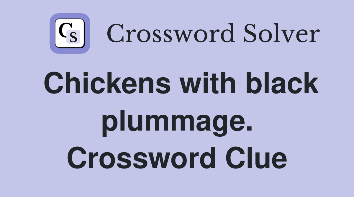 Chickens with black plummage. Crossword Clue