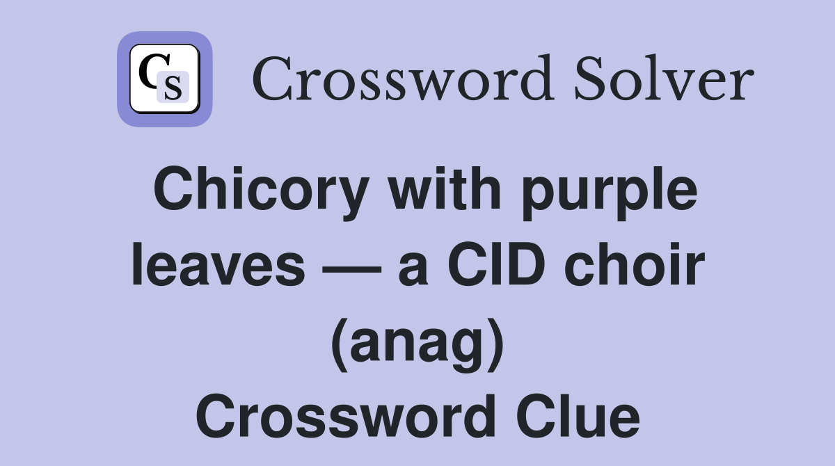 Chicory with purple leaves — a CID choir (anag) Crossword Clue