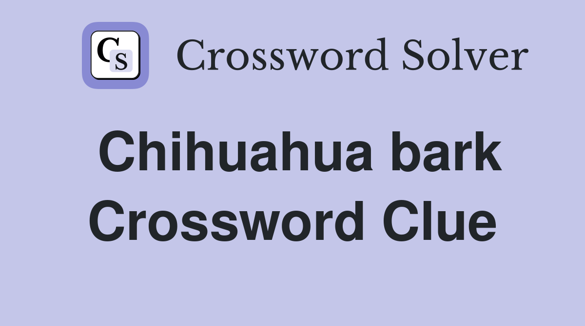 Chihuahua bark Crossword Clue