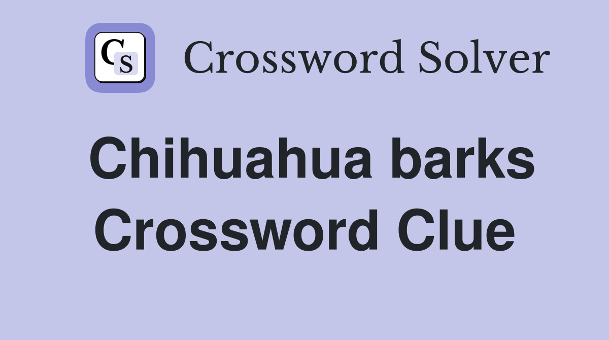 Chihuahua barks Crossword Clue