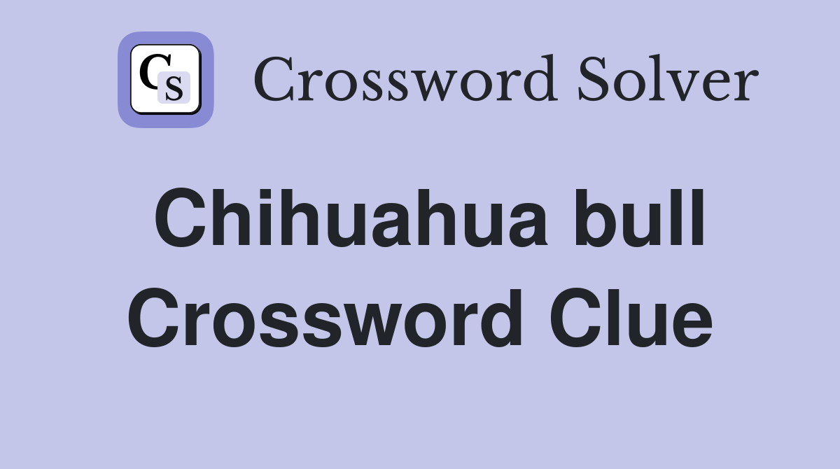 Chihuahua bull Crossword Clue