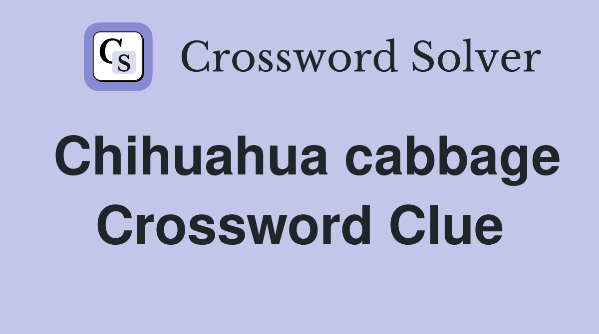 Chihuahua cabbage Crossword Clue