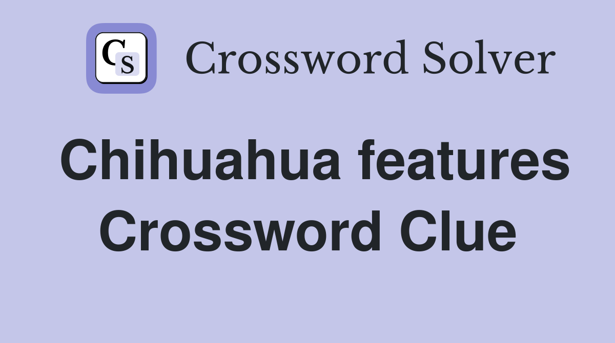 Chihuahua features Crossword Clue