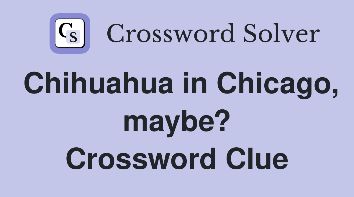 Chihuahua in Chicago, maybe? Crossword Clue