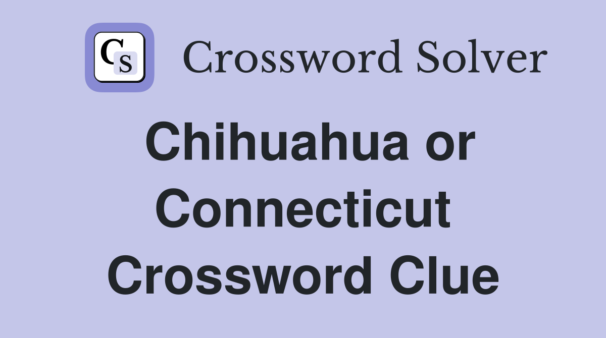 Chihuahua or Connecticut Crossword Clue