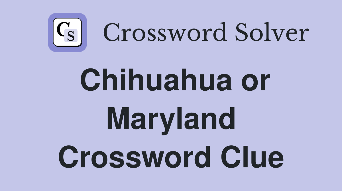 Chihuahua or Maryland Crossword Clue