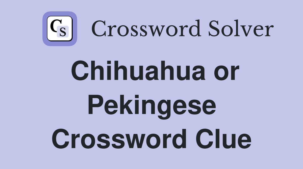 Chihuahua or Pekingese Crossword Clue