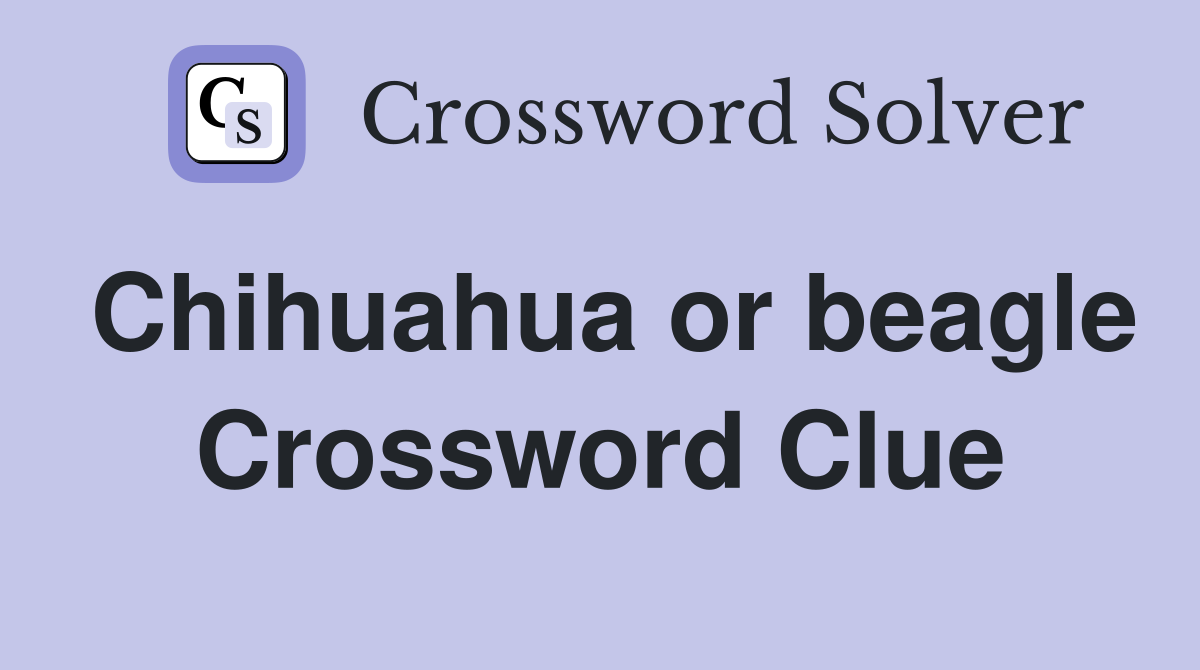 Chihuahua or beagle Crossword Clue