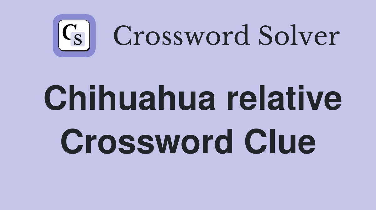 Chihuahua relative Crossword Clue