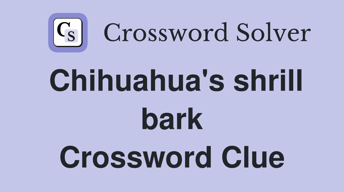 Chihuahua's shrill bark Crossword Clue