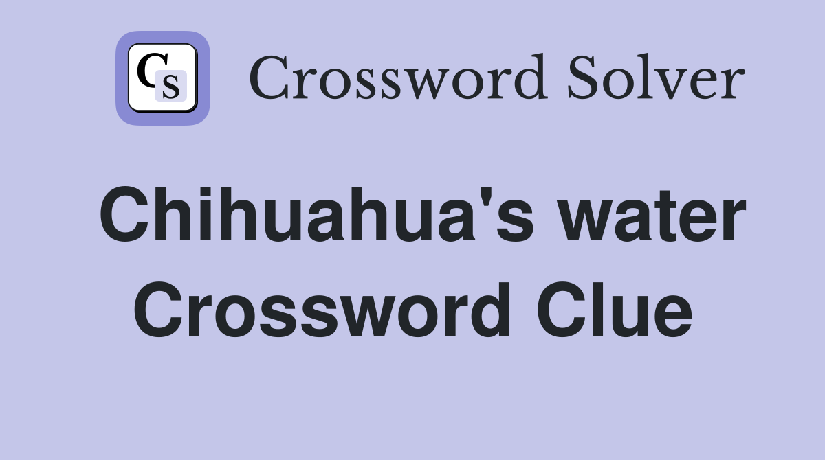Chihuahua's water Crossword Clue