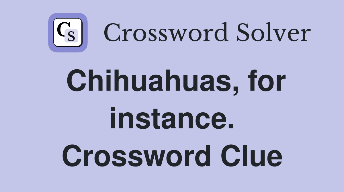 Chihuahuas, for instance. Crossword Clue