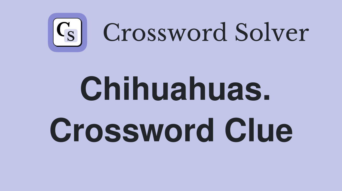 Chihuahuas. Crossword Clue